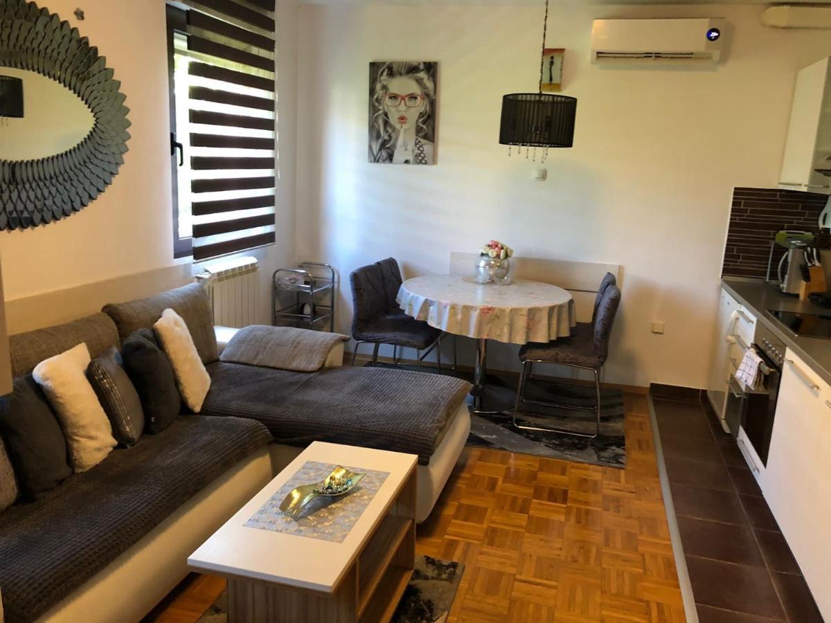 Apartment Sweet Dreams-Close To Zoo,Dinamo Stadium And The City Center 자그레브 외부 사진